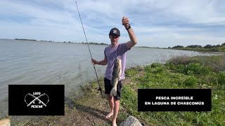 Pesca increíble en laguna de Chascomús [upl. by Couture]