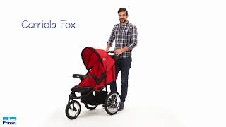 Carriola Fox 4 en 1 [upl. by Nnylrahc]