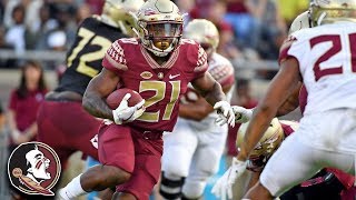 Florida State Spring Football Game Highlights 2018 [upl. by Luigino]