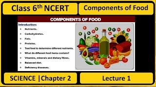 COMPONENTS OF FOOD  Class 6th Science Chapter 2  Lecture 1  NCERT [upl. by Ailev]