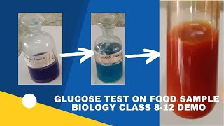 GLUCOSE TEST ON FOOD SAMPLE  BENEDICT FEHLINGS TEST  CLASS 812  BOARD PRACTICAL  BIOLOGY DEMO [upl. by Salkin]