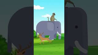 True Race  One Minute Story  Cartoons  cartoonanimal [upl. by Ramar]