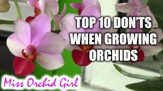 Top 10 DONTs when Growing Orchids  tips for orchid beginners [upl. by Epoh]