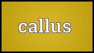 Callus Meaning [upl. by Ashby958]