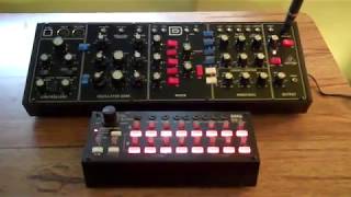 Korg SQ1 to Behringer Model D  CV [upl. by Chaney]