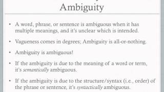 Vagueness amp Ambiguity [upl. by Eneirda319]