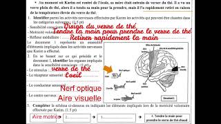 3AC  Correction Examen régional de TangerTétouanAl Hoceima 2023 SVT [upl. by Bo13]