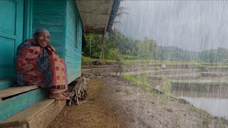 Suasana Syahdu Saat Hujan Mengguyur Kampung Cisangkal Cihurip Suasana Pedesaan Jawa Barat Garut [upl. by Atiuqram798]