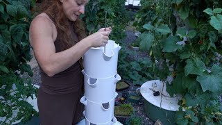 How a Vertical Tower Garden Works Assembling Your Hydroponic Tower System [upl. by Halehs]