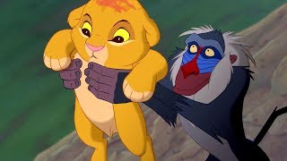 Simbas Birth Scene  Circle of Life  The Lion King 1994 Movie Clip HD [upl. by Abel]