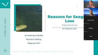 Seagrass Ecology and the Eyes on Seagrass Program  2024 FL SEE Webinar Series [upl. by Inanak872]