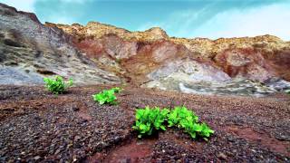 La Gomera  The energy awaiting you [upl. by Kizzie]