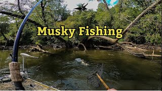 Musky Fishing  excuse me  EPIC MUSKY FISHING extremefishing [upl. by Emmett]