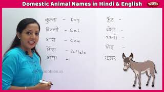 Domestic Animal Names in Hindi and English  Learn English in Hindi  Farm Animals For Kids [upl. by Uund435]