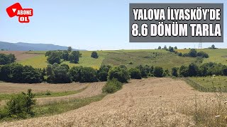 Yalova İlyasköyde resmi yolu olan 86 dönüm tarla [upl. by Thynne]