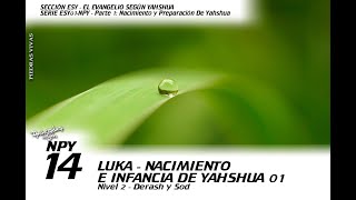 PV  NPY14N2  Luka  Nacimiento E Infancia De Yahshua 01 [upl. by Zednanref783]