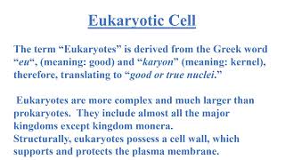 Difference between Prokaryotic and Eukaryotic Cells Video No 518 [upl. by Sielen667]