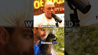 Rogan and Musk Moved by Peanut the Squirrel’s Story [upl. by Sheree]