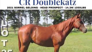 LOT 35 CR Doublesided CR Doublekatz [upl. by Sarson]