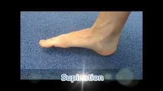 Ankle pronation and supination [upl. by Needan]