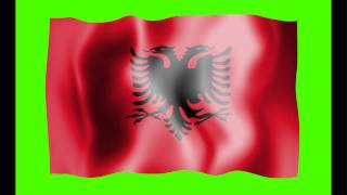 Albania Flag Green Screen  Free Royalty Footage [upl. by Saffian]