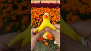 Stress Relief Duck Toy  Cute Reboundable DressUp Fun [upl. by Dorolice147]