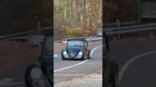 Black beetle burnouts rule [upl. by Jocelin]