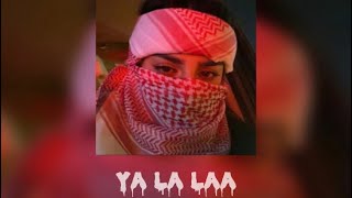 Dystinct  ya la laa  english lyrics slowed [upl. by Anneiv513]