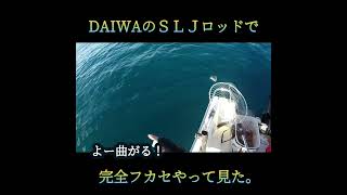 （ジギンガー必見）SLJロッドで完全フカセやったら意外と使いやすい！磯竿無くてもフカセ出来ます！フカセ釣り 船釣り 高知県 マダイ [upl. by Haslett]