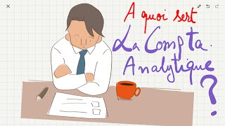 A quoi sert la comptabilité analytique [upl. by Ianej]