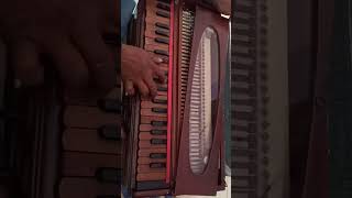 100 Years Old German Jubilate BM 4242 Reeds Harmonium [upl. by Theodora980]