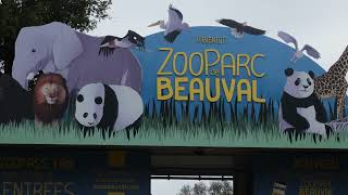 ZOO du parc de BEAUVAL [upl. by Mellisent]