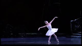 SWAN LAKE  Odette amp Siegfried Natalia Osipova amp Matthew Golding  Royal Ballet [upl. by Arianna]