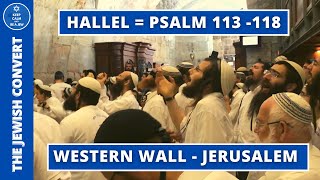 HALLEL at The Western Wall  Psalm 113118  English Subtitles [upl. by Sybley]