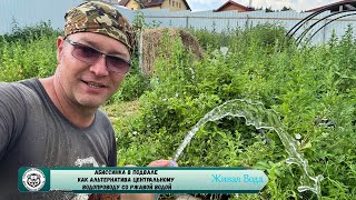 Абиссинская скважина Ярославль 💧 Борисоглебский Троица [upl. by Ahseneuq]