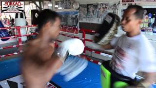 YOKKAO Muay Thai Customized Boxing Gloves for Singdam Kiatmoo9 [upl. by Eidua]