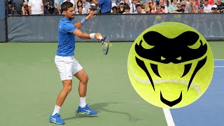 Novak Djokovic CRUSHING Forehands in Slow Motion [upl. by Chapel]