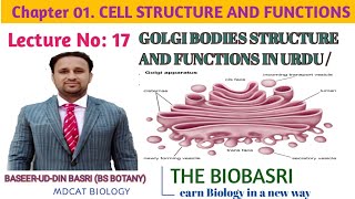 GOLGI BODIES STRUCTURE AND FUNCTIONSIN URDU HINDI  GOLGI APPARATUS [upl. by Lemuela106]