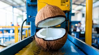 How Coconut Oil is Made Inside a Giant Coconut Processing Facility [upl. by Gerhard]