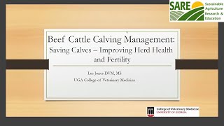 Calving Management and Cattle Vaccines [upl. by Aivartal]