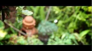 Sony NEX6 with Olympus OM Zuiko 50mm f18 lens footage [upl. by Johnathon]