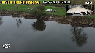 RIVER TRENT FISHING FOXCOVERT PADDOCK PART 1 BARBEL BREAM [upl. by Grantham]