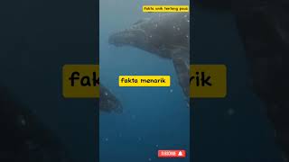 fakta unik tentang ikan paus short faktaunik faktahewanlaut faktamenarik [upl. by Kulsrud960]