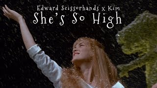 Edward Scissorhands and Kim  Shes So High [upl. by Naamana]