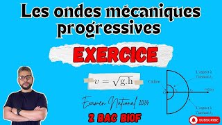 Exercice  Onde à la surface d’eau  Examen national SN 2024  OMP  2 BAC PC  Prof BMOUSLIM [upl. by Ellenij]
