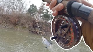 How to catch BIG steelhead in SHALLOW water  Centerpin Fishing [upl. by Nauqan]