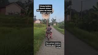 Man paiman ndi dorone dolmui fypシ゚viral merpati merpatilovers shorts [upl. by Yemrej]