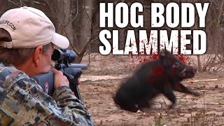 Texas Hog Hunting with Suppressed Rifle  Horsepower [upl. by Sherborn]