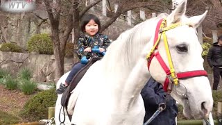 救馬溪観音 初詣客で賑わう 和歌山県上富田町 [upl. by Trow]