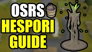 OSRS Hespori Guide  Quick Guide [upl. by Glenden]